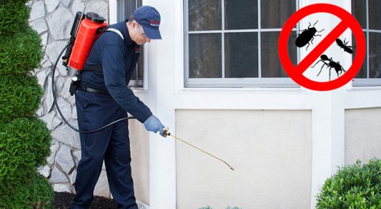 Sındırgı Kene İlaçlama böcek ilaçlama ve haşere kontrolü — ilaclama-tr.com